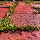 Image for article titled 30 Odes To The Humble Brick